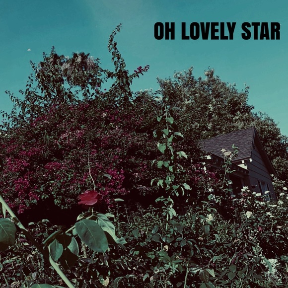 Lovely Star * Photography Art Print - Picture 3 of 5